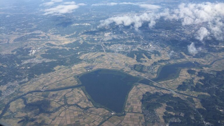 西から見た北印旛沼（千葉県）