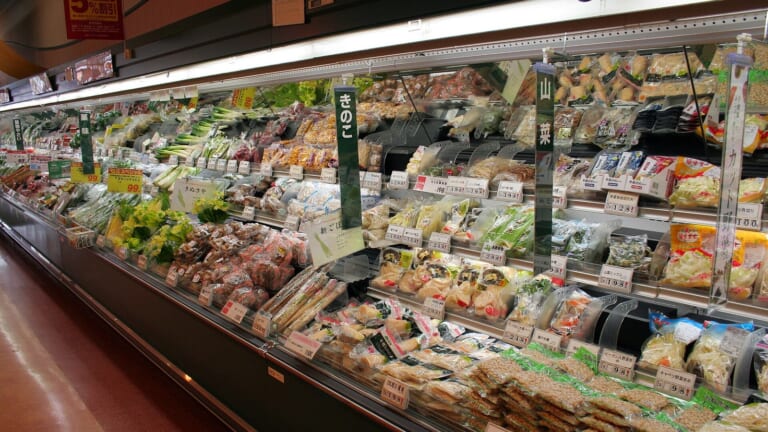 食料品減税で減る消費税、年金や医療の分は何で埋める？